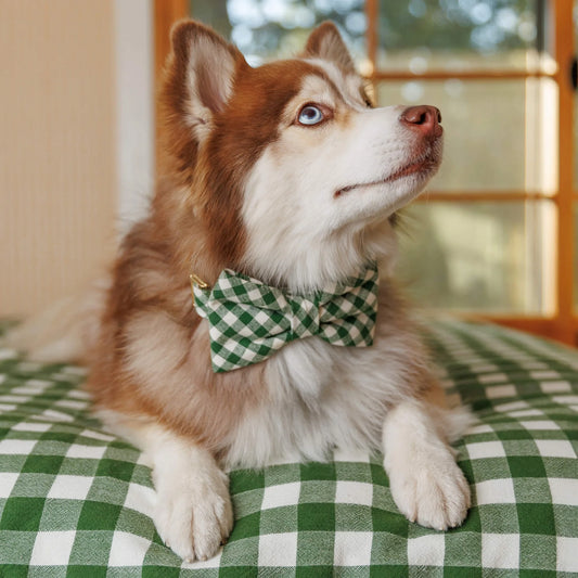 Mini Gingham Hunter Green Dog Bow Tie
