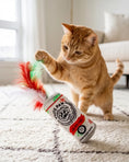 Load image into Gallery viewer, White Paw Kitty Seltzer and Pawpermint Cattini
