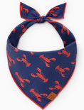 Load image into Gallery viewer, Catch of the Day Bandana