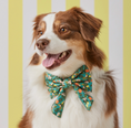 Load image into Gallery viewer, Citrus Floral Lady Dog Bow