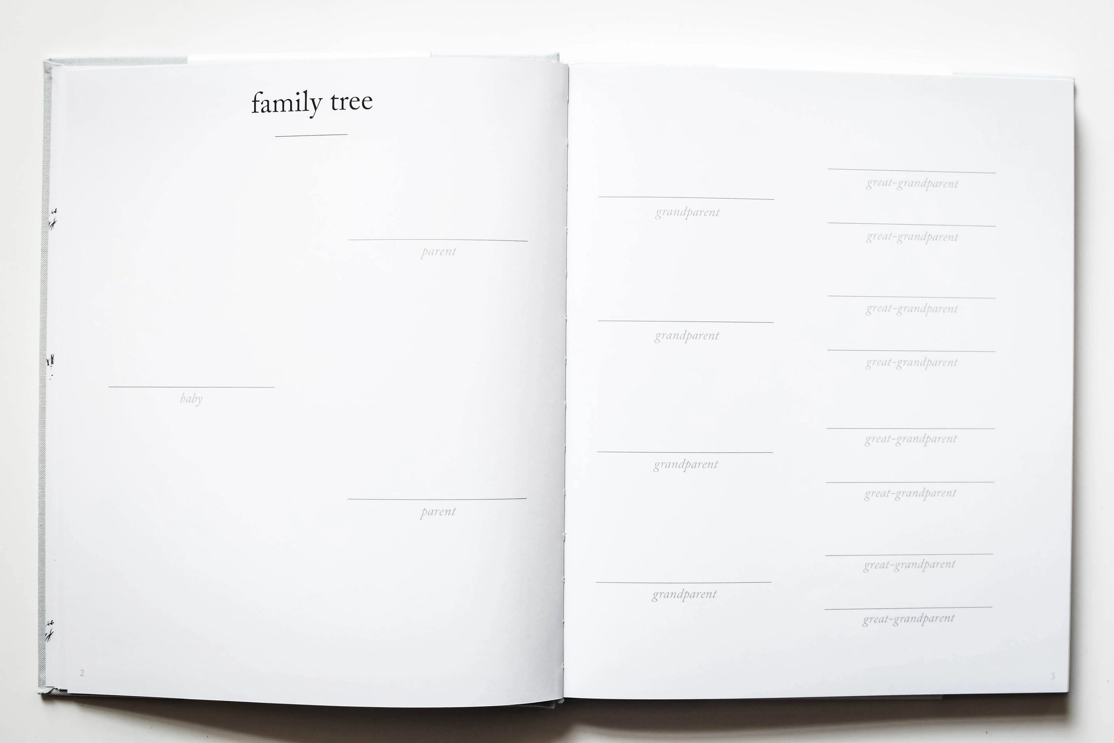 Baby's First Year Memory Book | Cream