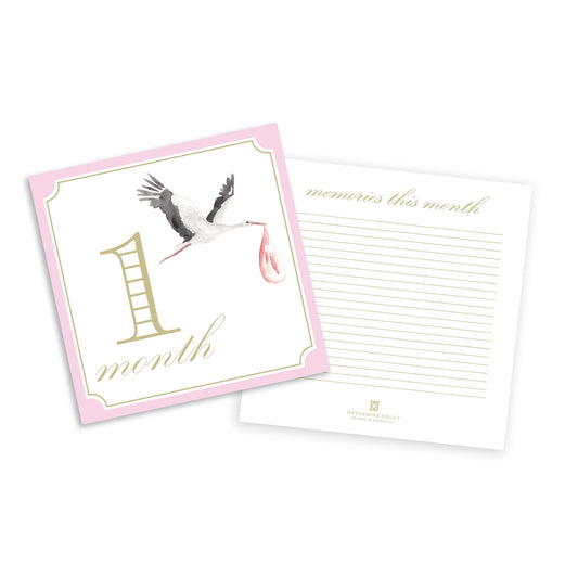 Baby Milestone Cards | Pink