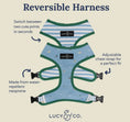 Load image into Gallery viewer, Set Sail Reversible Harness
