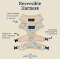 Load image into Gallery viewer, Sunshine & Daffodils Reversible Harness
