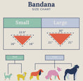 Load image into Gallery viewer, Set Sail Bandana
