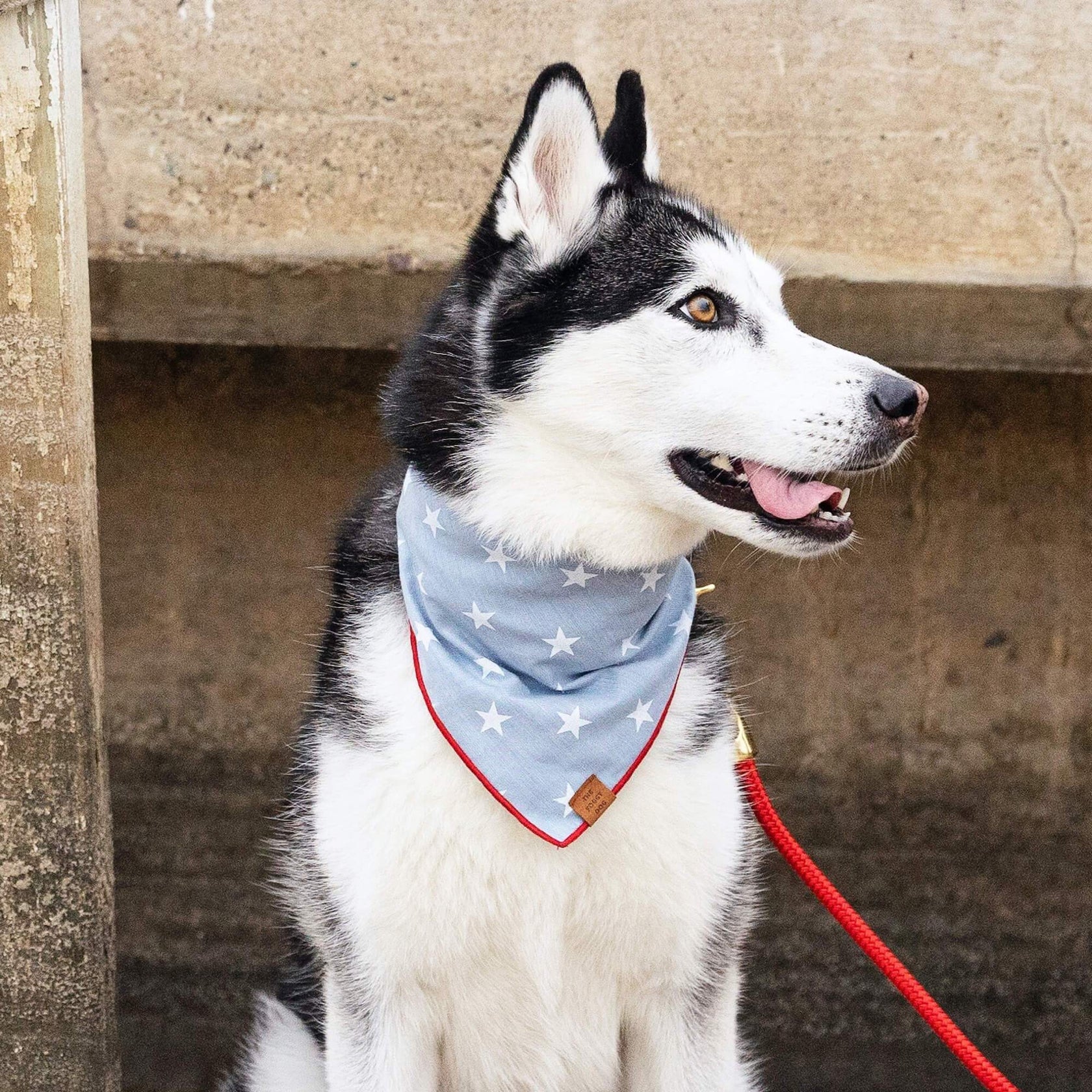 Liberty Summer Dog Bandana