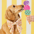 Load image into Gallery viewer, Sundae Funday Lady Dog Bow Tie
