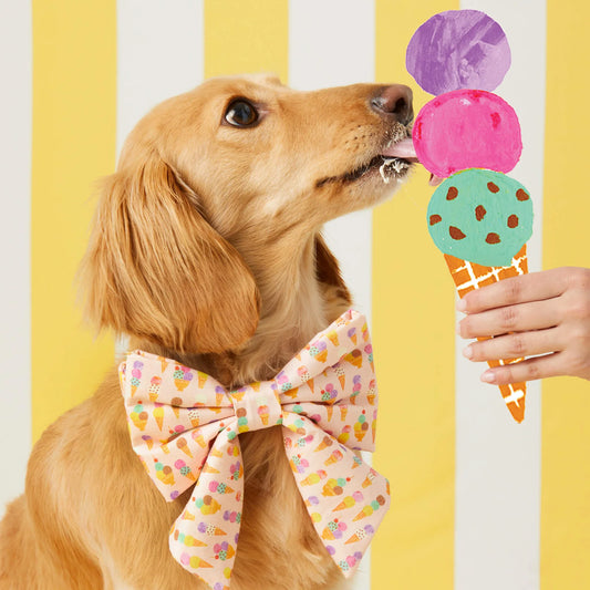 Sundae Funday Lady Dog Bow Tie