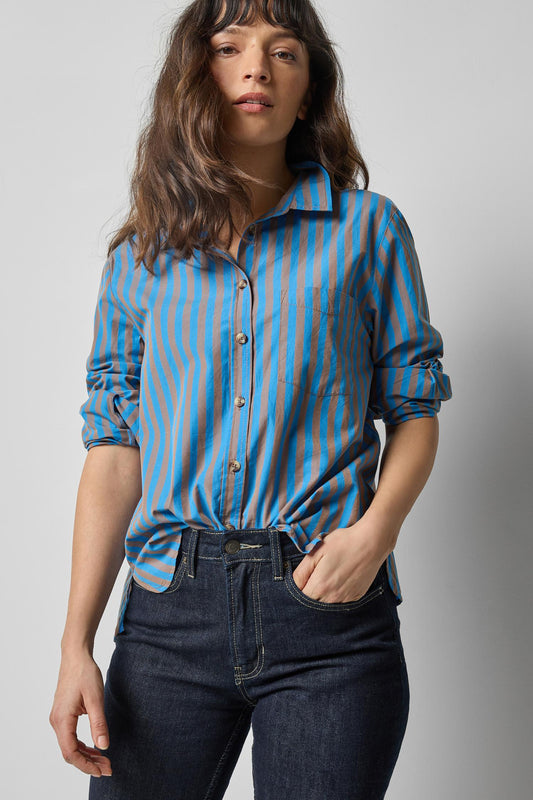 Button Down- Cocoa/Lapis Stripe