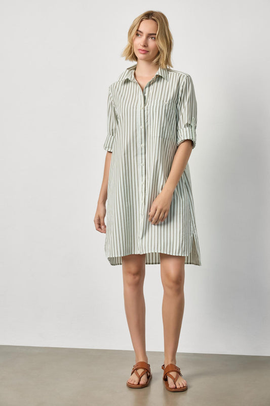 Striped Shirt Dress- Pool Stripe