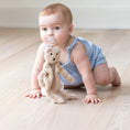 Load image into Gallery viewer, Bernie the Bear Pacifier Buddy
