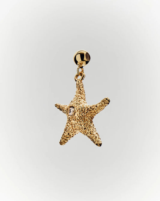 Starfish Charm