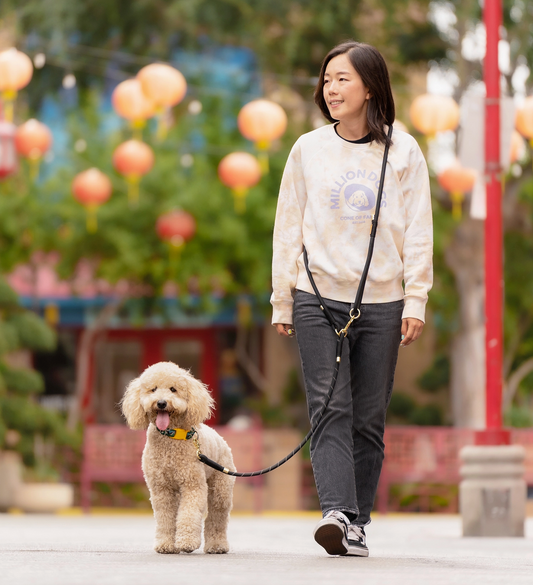 Black Hands-Free Leash