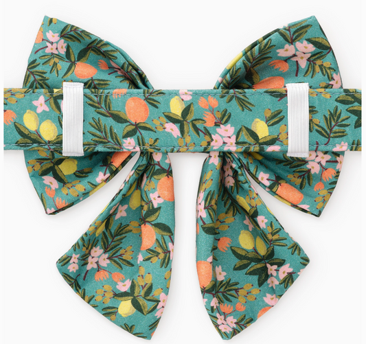 Citrus Floral Lady Dog Bow