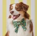 Load image into Gallery viewer, Citrus Floral Lady Dog Bow
