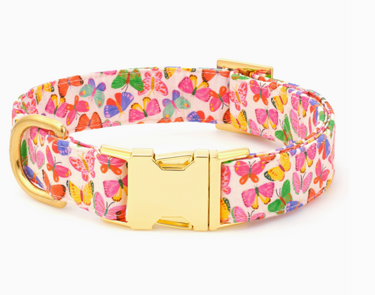 Butterflies Collar