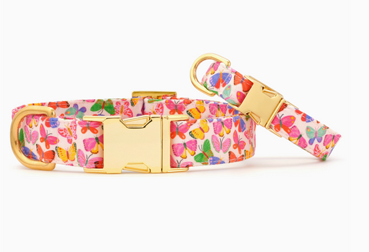 Butterflies Collar