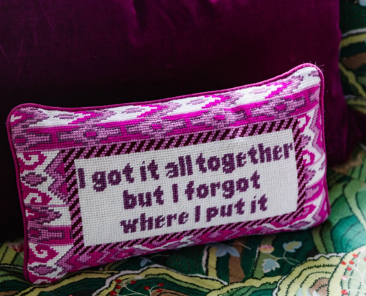 Got it Together Needlepoint Pillow