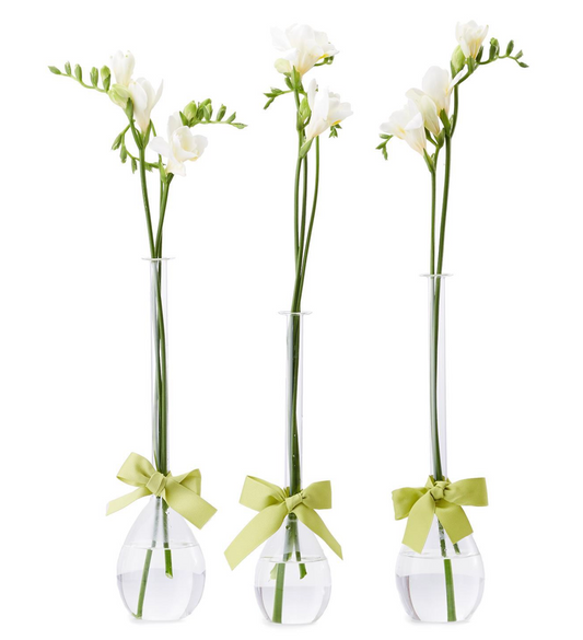 Tear Drop Vases | Set of 3