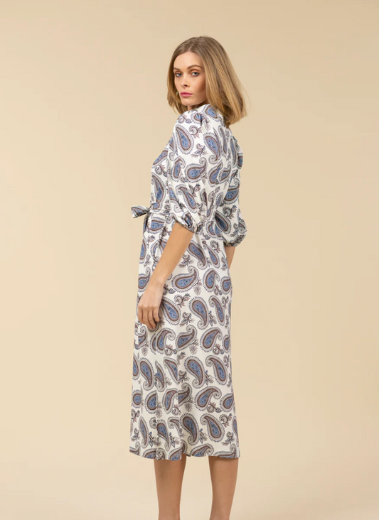 Brooks Dress | Paisley