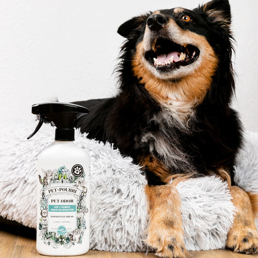 Pet Pourri Pawsitively Fresh Odor Refresher