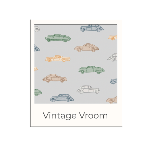 Zippered Footie in Vintage Vroom: 3-6m