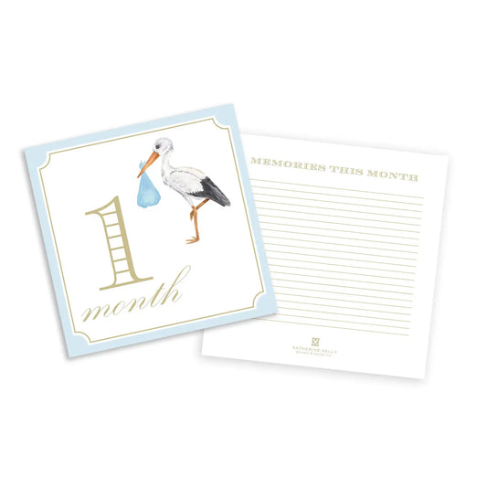 Baby Milestone Cards | Blue