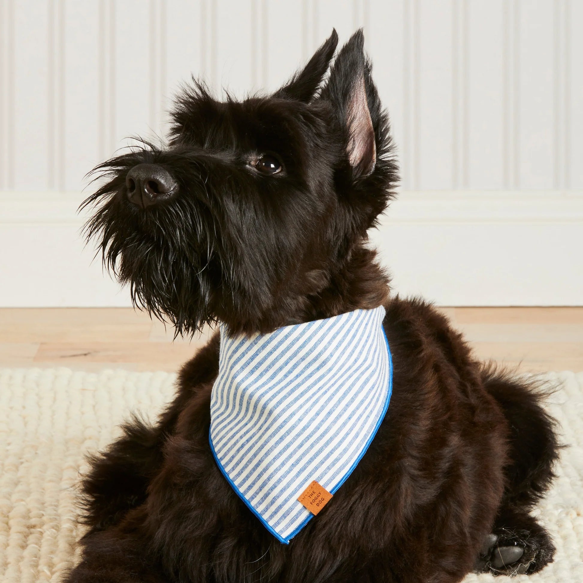 Lake Dog Bandana