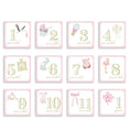 Load image into Gallery viewer, Baby Milestone Cards | Pink
