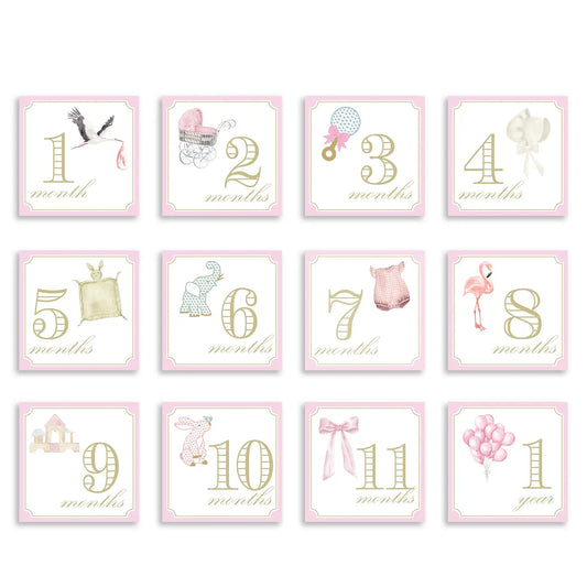 Baby Milestone Cards | Pink